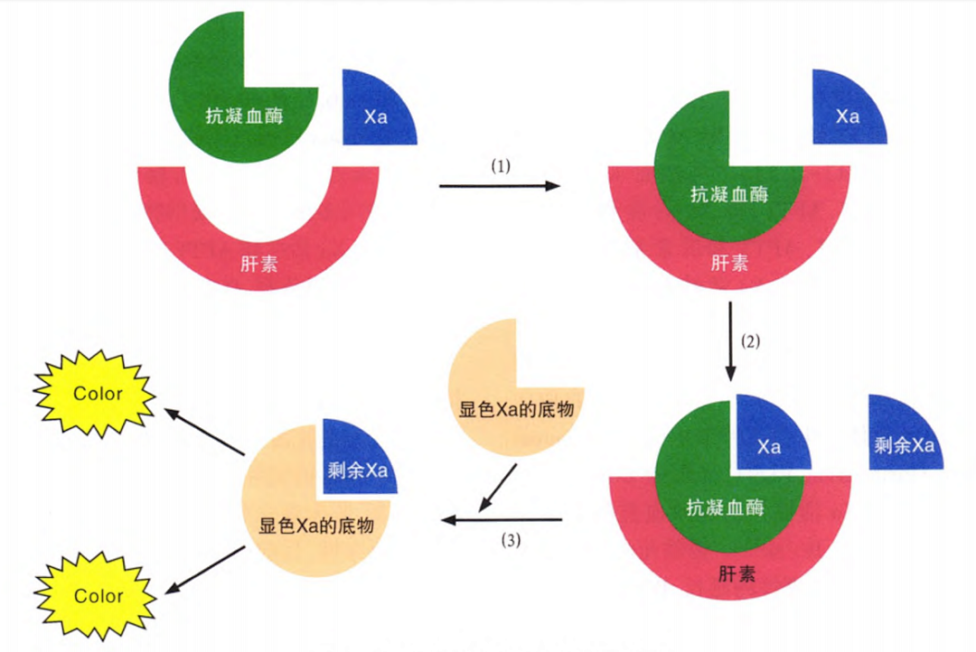 国产抗Xa质量如何？多中心临床研究来告诉你！